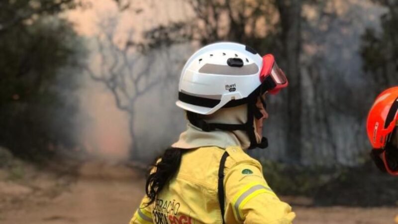 Governo de SP abre processo seletivo para contratar 243 brigadistas temporários