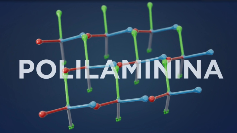 Polilaminina: Como foram os estudos, quais são os resultados até agora e o que diz a Anvisa? Entenda