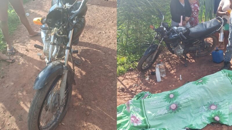 Motorista de ônibus morre em grave acidente no Norte do Piauí; mulher fica ferida