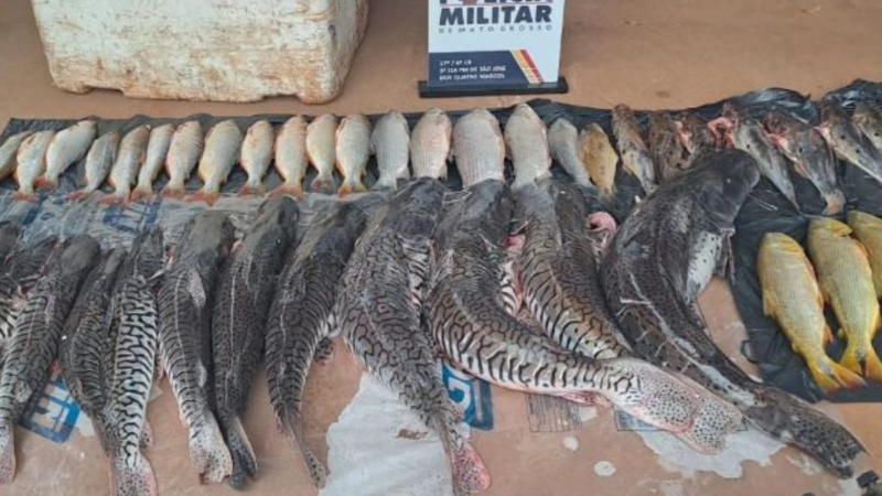 Dois homens são presos em flagrante com 48 unidades de pescado irregular em MT