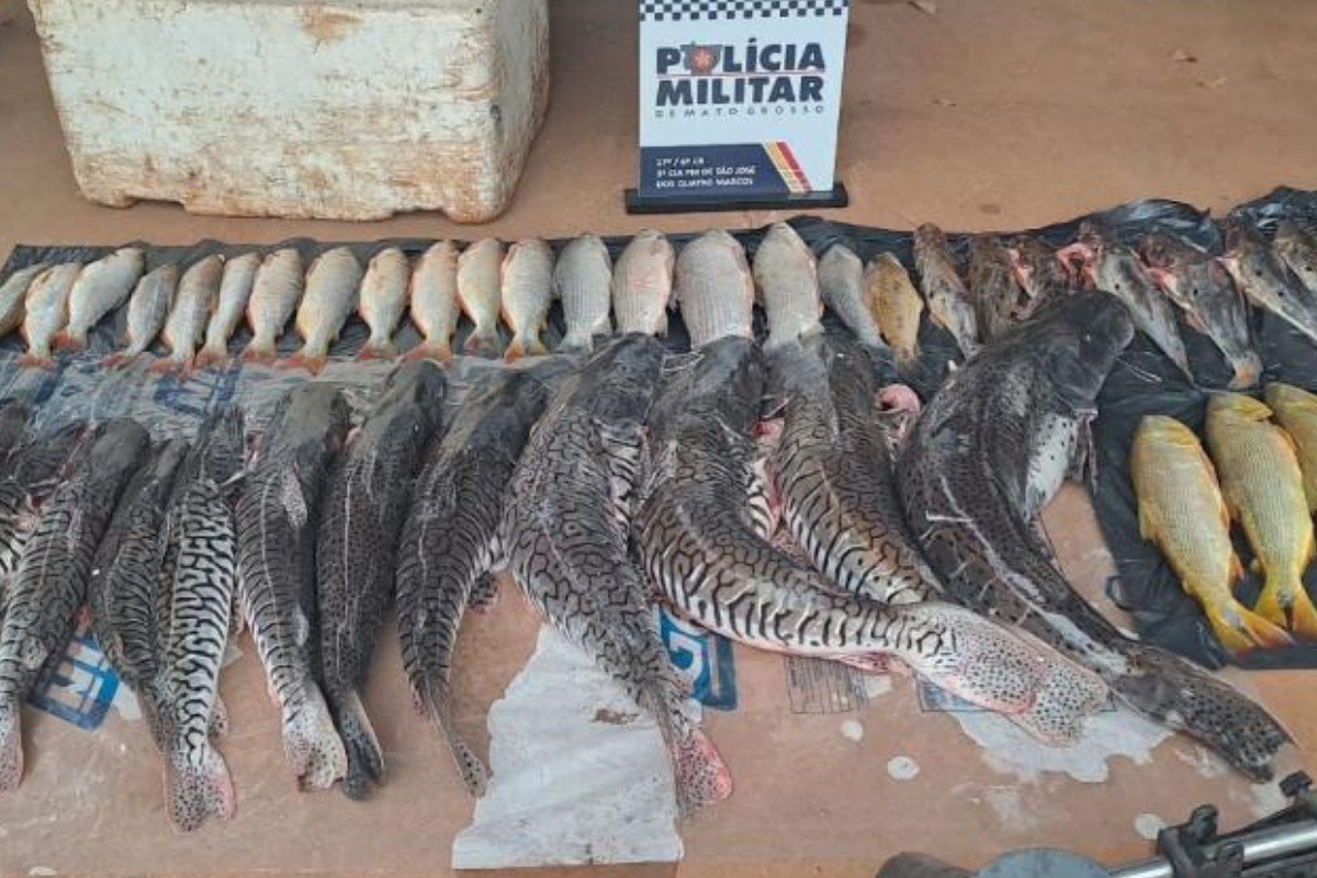 Dois homens são presos em flagrante com 48 unidades de pescado irregular em MT