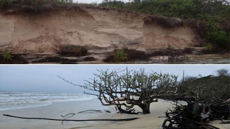 Justiça obriga Estado de SP a realizar estudos para conter erosão na Ilha do Cardoso; entenda