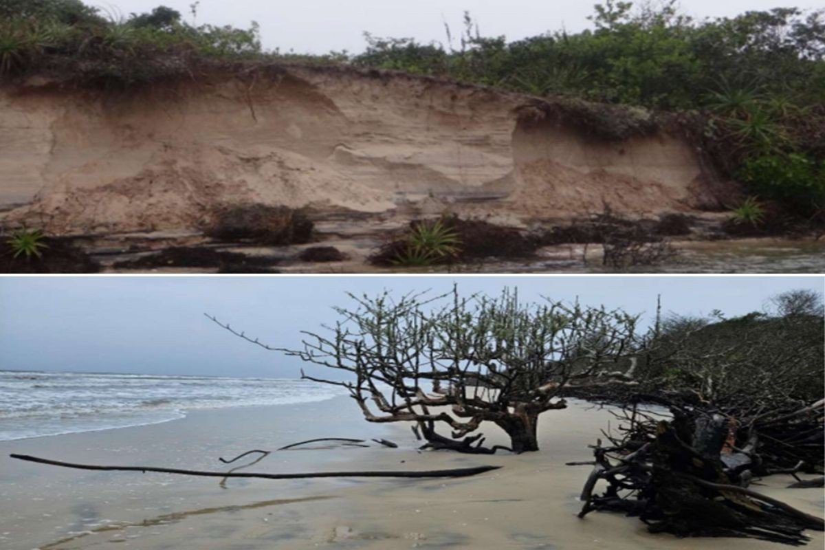Justiça obriga Estado de SP a realizar estudos para conter erosão na Ilha do Cardoso; entenda