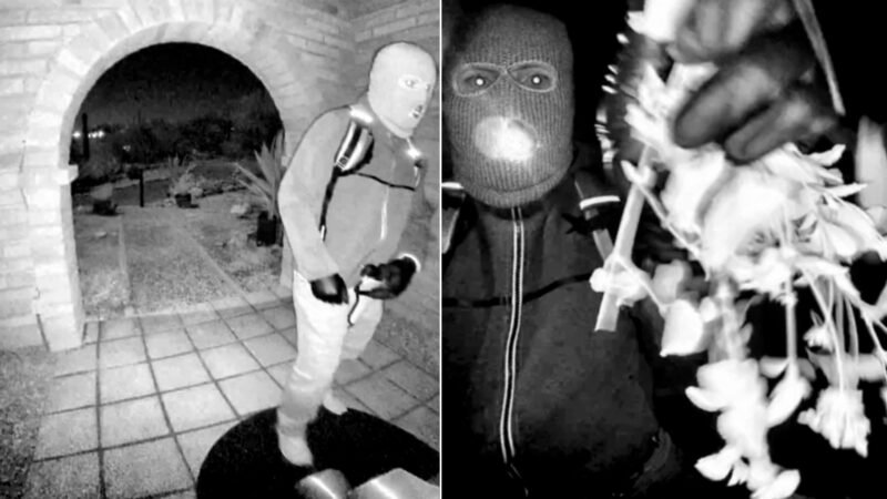 FBI analisa DNA de luva encontrada próxima à casa de mãe de apresentadora de TV sequestrada nos EUA