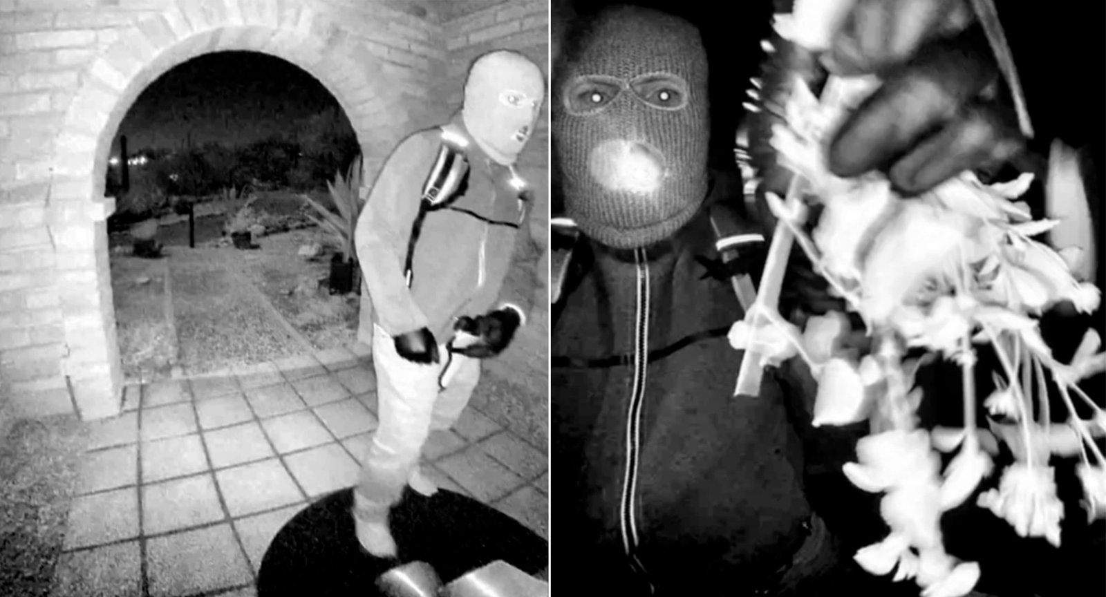 FBI analisa DNA de luva encontrada próxima à casa de mãe de apresentadora de TV sequestrada nos EUA