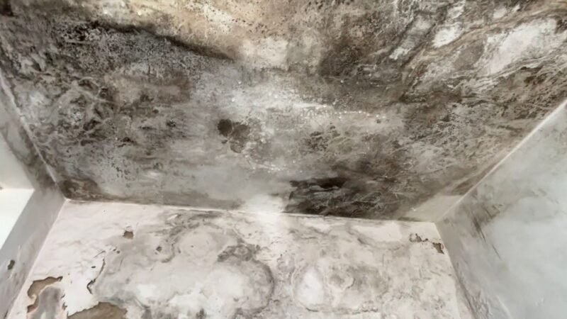 Mofo e infiltração: UBS da Vila Cristina em Piracicaba tem falta de manutenção e atendimento odontológico é transferido