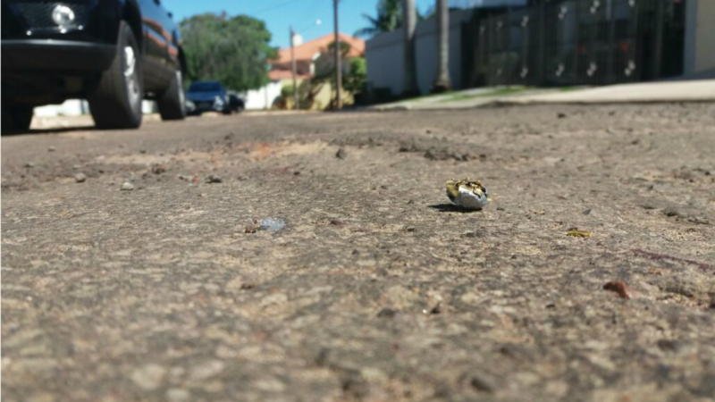 Vale do Paraíba registra 44 mortes violentas no ano e segue como região com mais casos no interior de SP