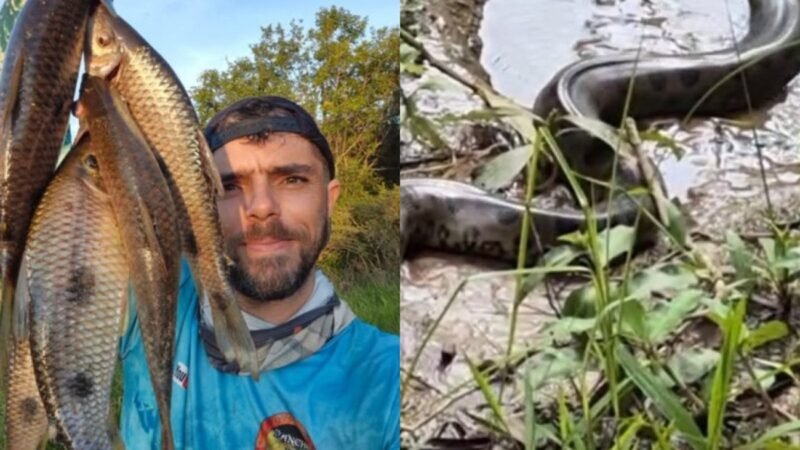 VÍDEO: Sucuri gigante passa ao lado de pescador em MS e reação dele chama atenção: ‘Não me assustei’