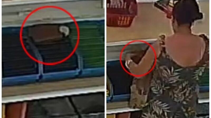 VÍDEO: câmera flagra mulher furtando carteira com mais de R$ 2 mil esquecida por cliente em loja
