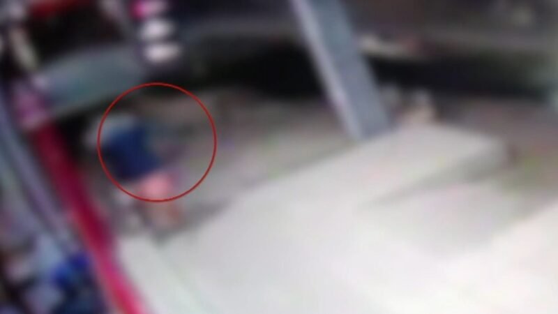 VÍDEO: Gata comunitária morre após ser chutada e arremessada em Mossoró