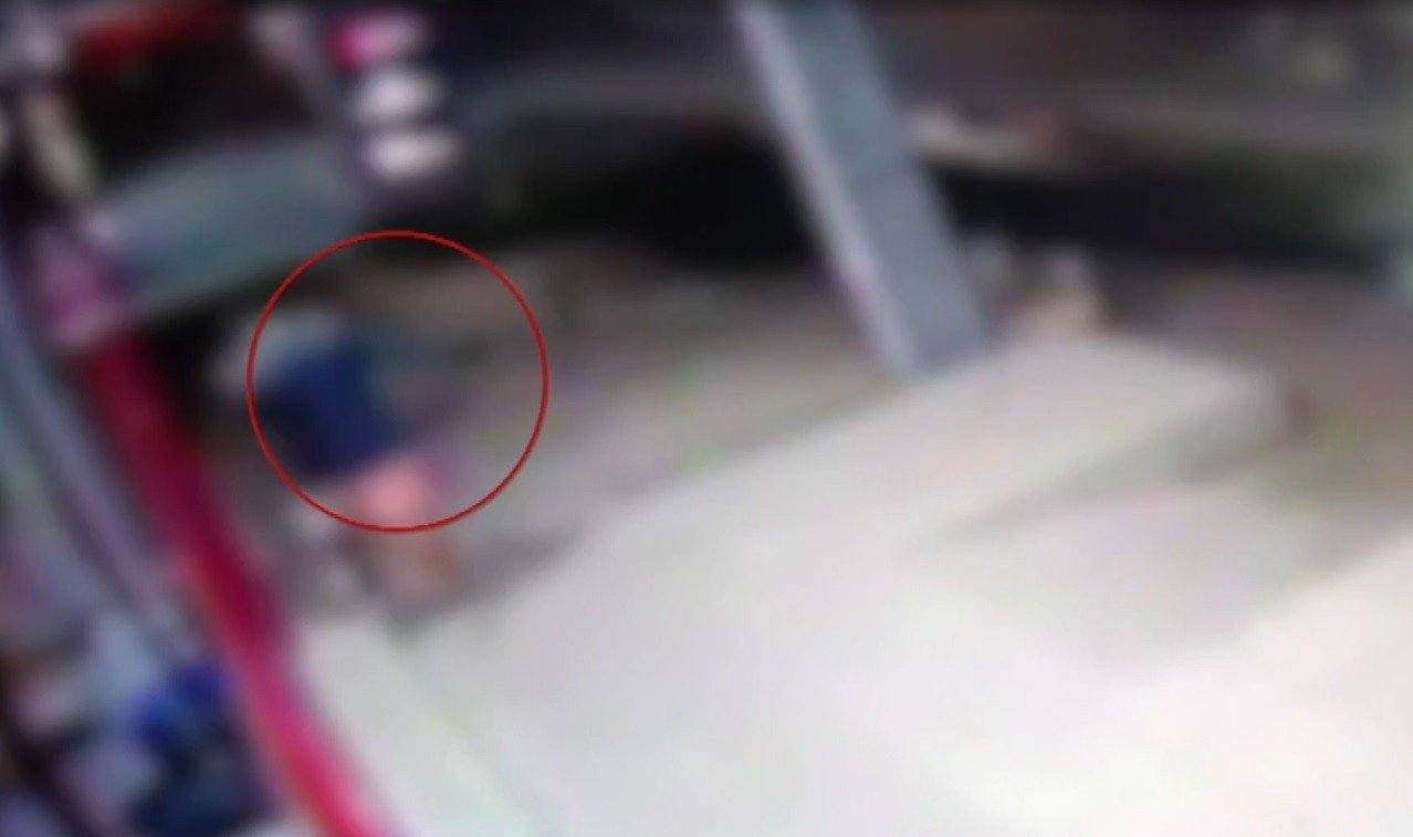 VÍDEO: Gata comunitária morre após ser chutada e arremessada em Mossoró