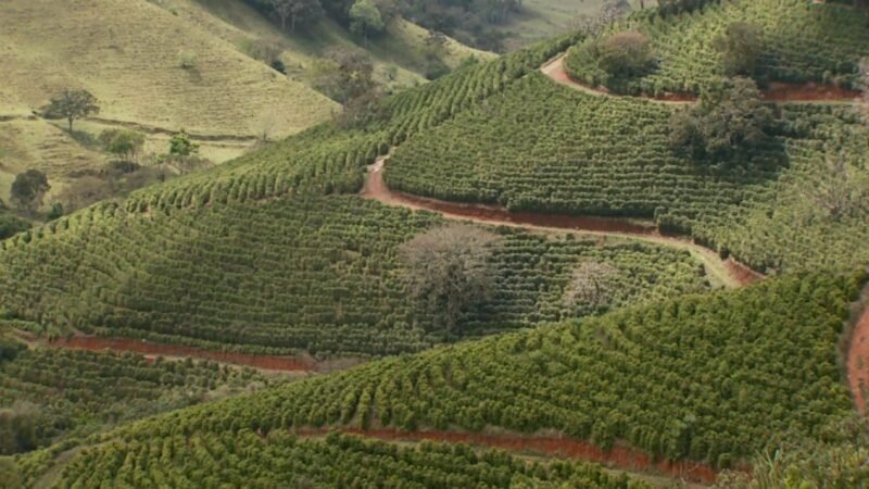 Cafés especiais ganham protagonismo no 2º Festival Mantiqueira de Minas; confira a programação