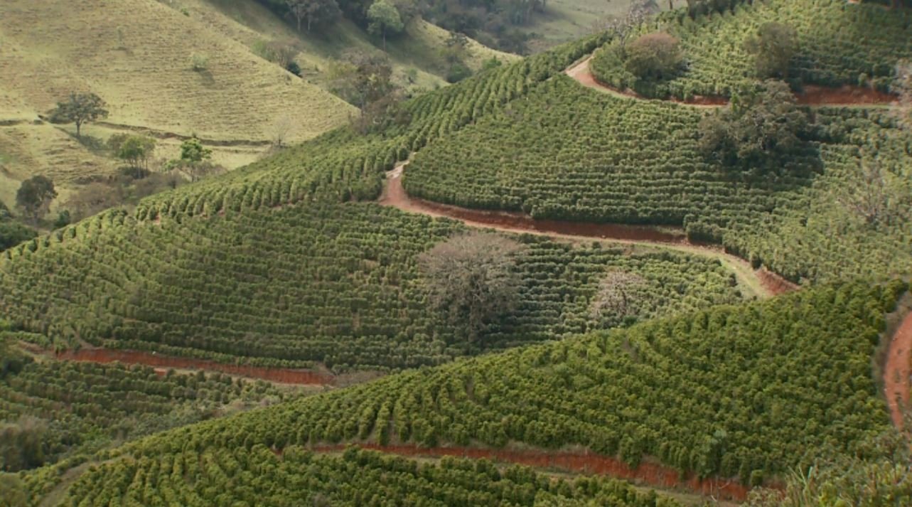 Cafés especiais ganham protagonismo no 2º Festival Mantiqueira de Minas; confira a programação