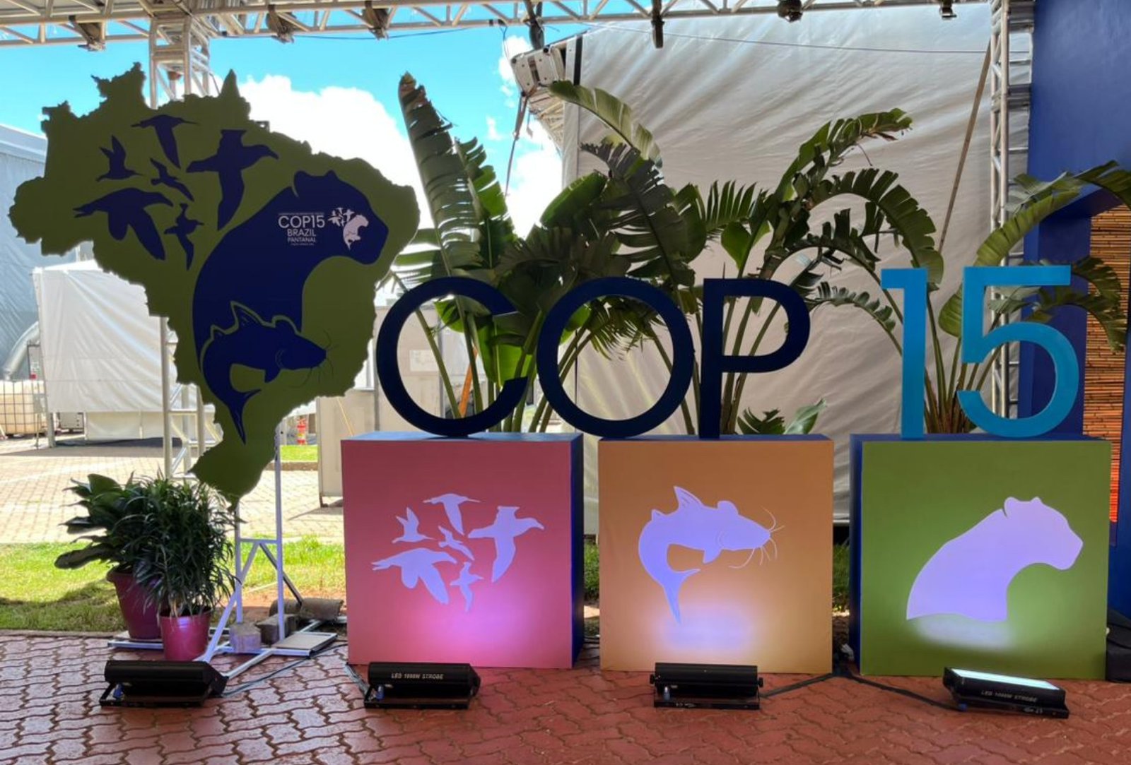 Domingo de COP15 reúne Lula e líderes internacionais em MS; veja a programação