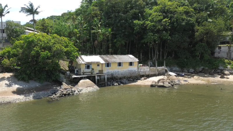 Uso de minhocas e ‘jardim filtrante’: pesquisadores criam tratamentos alternativos de esgoto para ilha isolada no Paraná