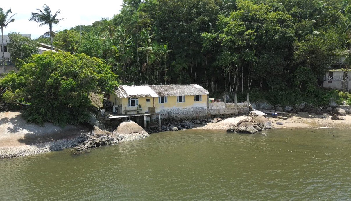 Uso de minhocas e ‘jardim filtrante’: pesquisadores criam tratamentos alternativos de esgoto para ilha isolada no Paraná