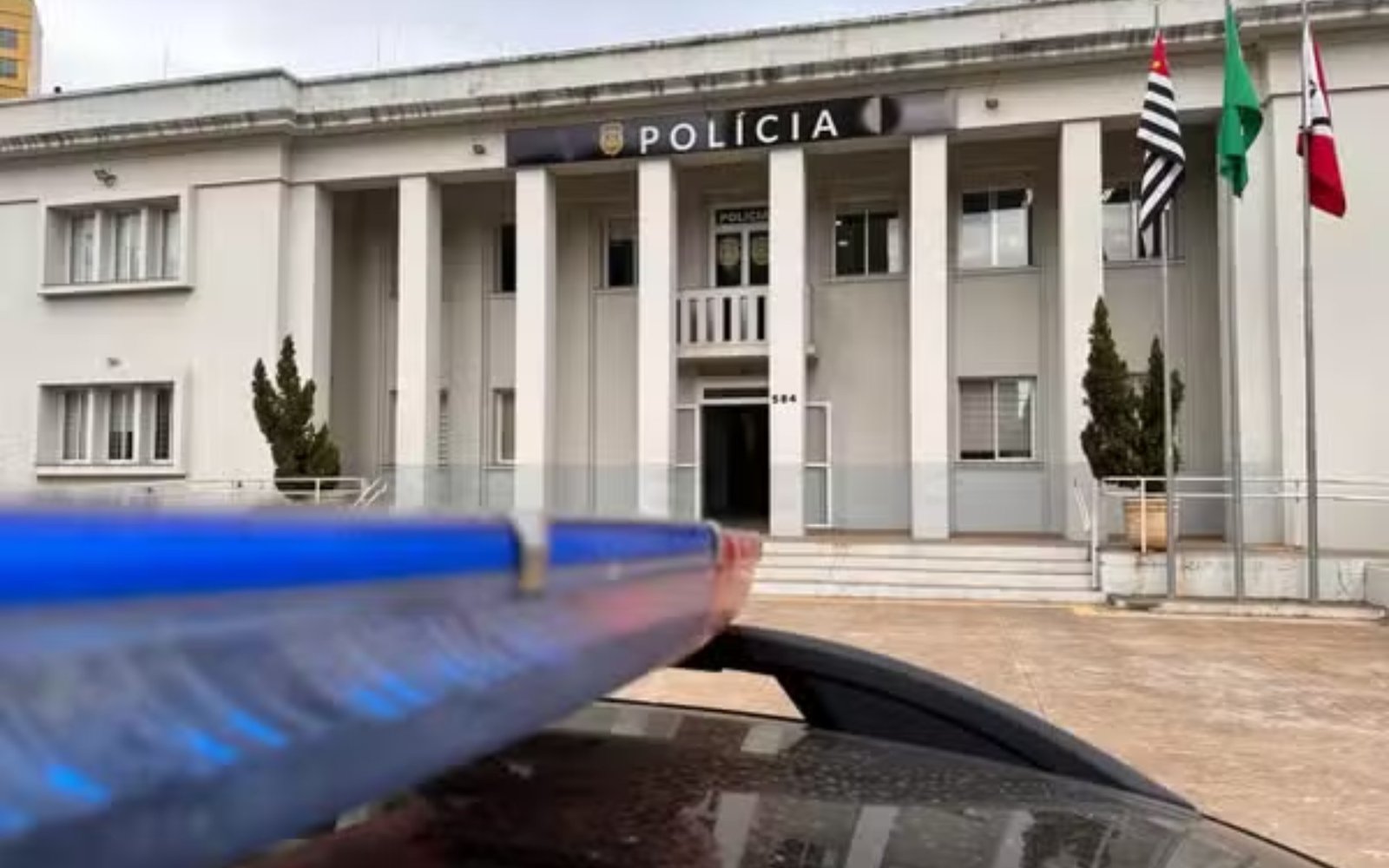 Mulher é presa após pedir eutanásia em clínica veterinária para cachorro com sinais de maus-tratos no interior de SP