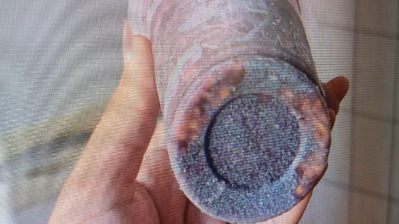 Terbufós: entenda substância usada para envenenar açaí consumido por jovem que foi parar na UTI