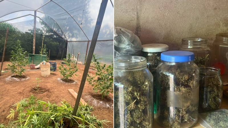 VÍDEO: homem que cultivava maconha em condomínio é preso no interior de SP