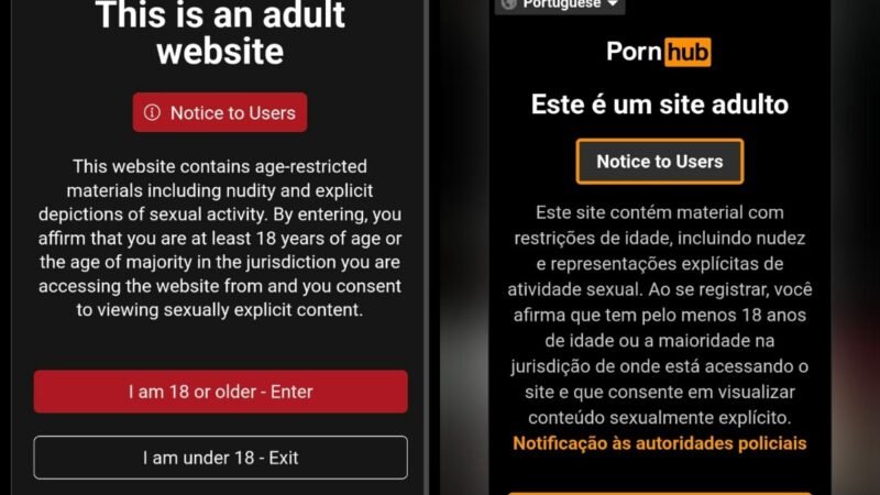 ECA Digital: sites pornôs seguem sem checar idade, e redes tentam adivinhar faixa etária