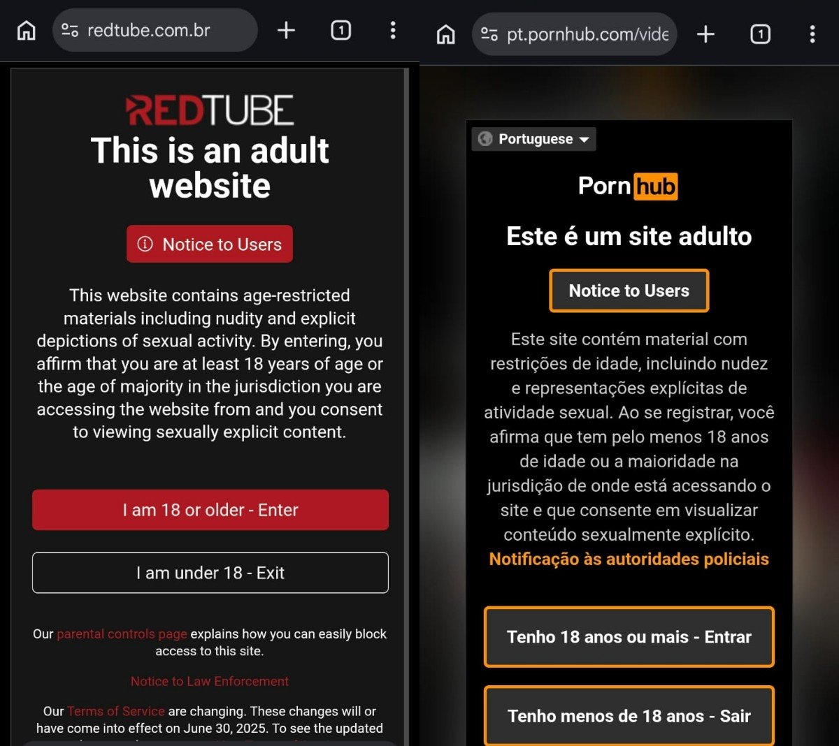 ECA Digital: sites pornôs seguem sem checar idade, e redes tentam adivinhar faixa etária