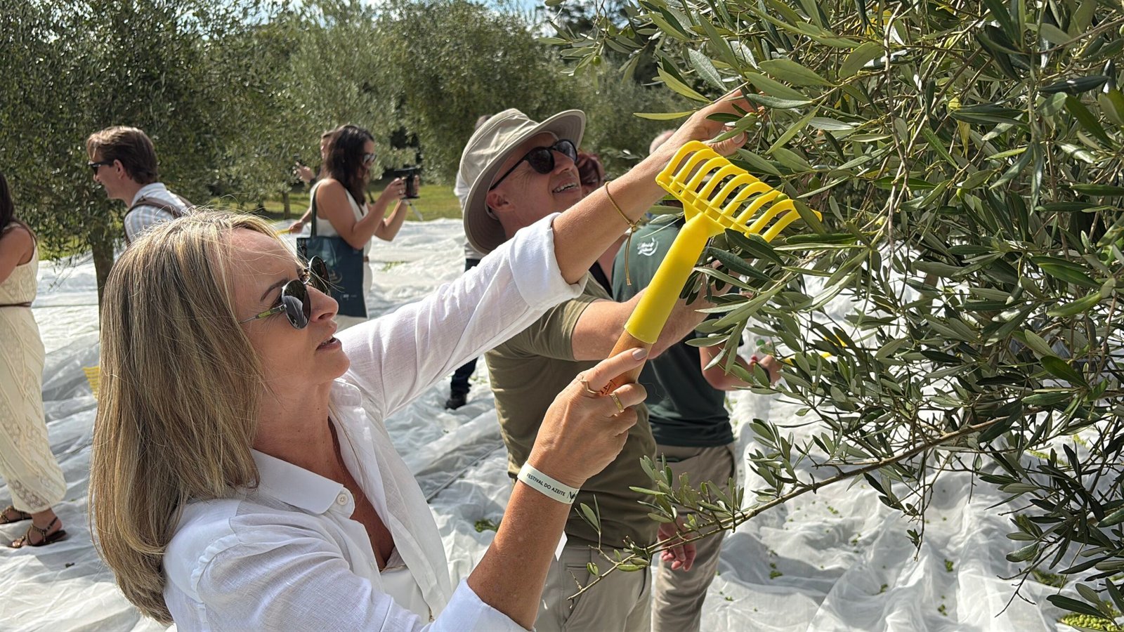 Azeites de oliva sabor bergamota até trufas negras: festival em Gramado traz experiência de sabores inusitados
