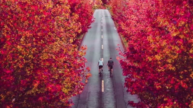 Outono 2026: estação deve ter temperaturas acima da média e chuvas irregulares; veja MAPAS