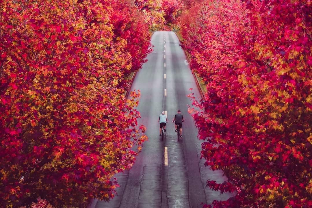 Outono 2026: estação deve ter temperaturas acima da média e chuvas irregulares; veja MAPAS