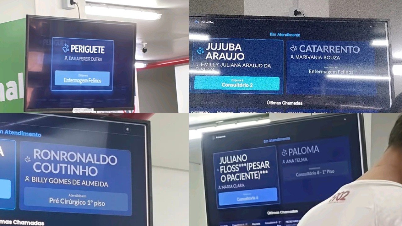 De ‘Ronronaldo Coutinho’ a ‘Catarrento’: nomes criativos de pets em hospital veterinário público do AM viralizam nas redes sociais