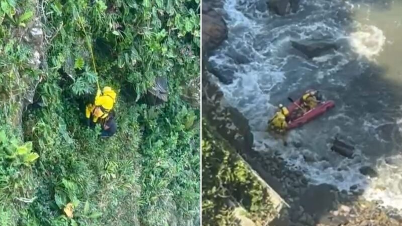 Homem se joga de precipício para escapar de ataque de abelhas no litoral de SP; VÍDEO