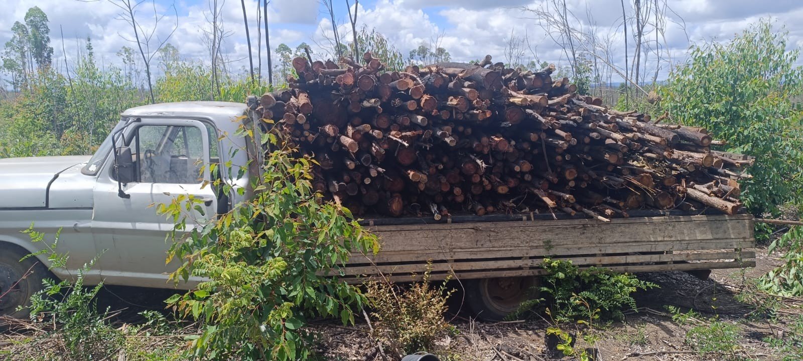 VÍDEO: Caminhão com documento irregular há 10 anos é encontrado carregado com madeira furtada