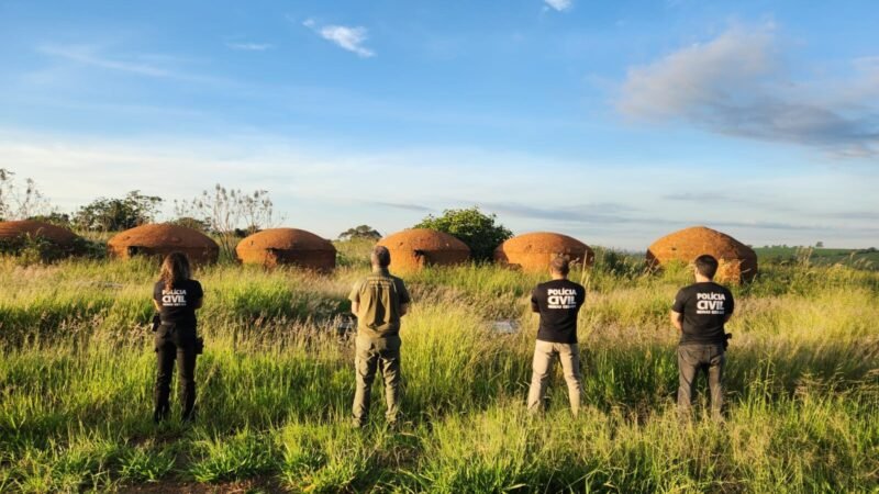 Operação mira esquema de carvão ilegal em MG e leva a bloqueio de R$ 55 milhões
