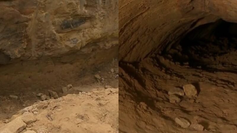 Túneis pré-históricos feitos por tatus e preguiças gigantes são descobertos durante obra em SC