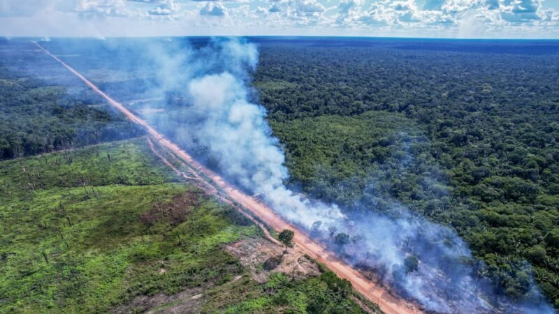 Licitações da BR-319 serão retomadas após decisão da Justiça Federal e editais serão relançados, diz Dnit