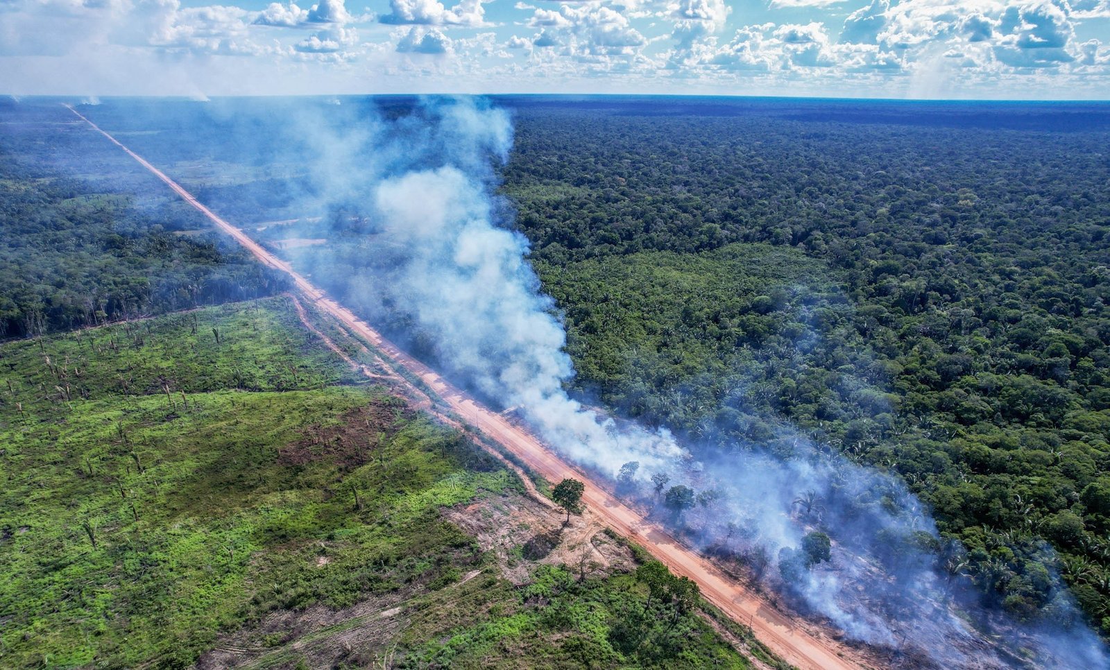 Licitações da BR-319 serão retomadas após decisão da Justiça Federal e editais serão relançados, diz Dnit