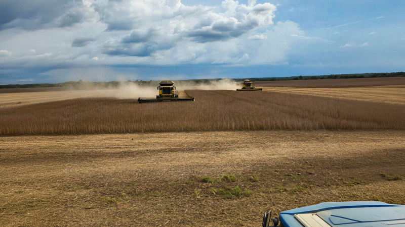 Clima, custos e mercado desafiam a produção agrícola no Tocantins