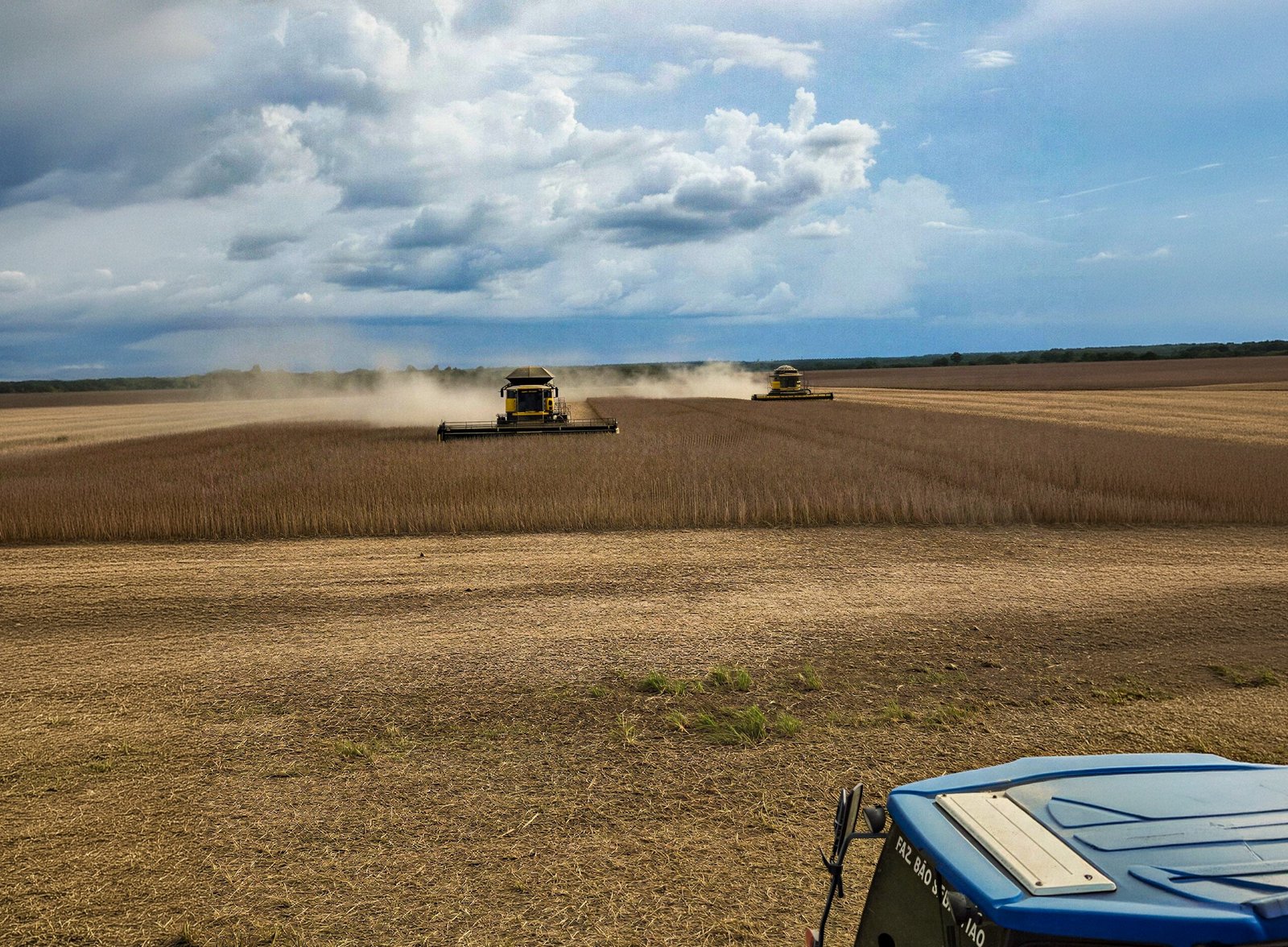 Clima, custos e mercado desafiam a produção agrícola no Tocantins