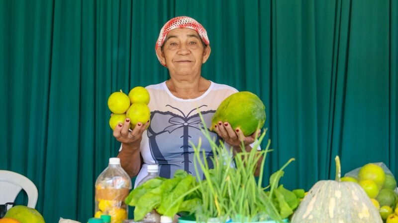 Feira Solidária da Ufopa incentiva doações de alimentos adquiridos de agricultores locais