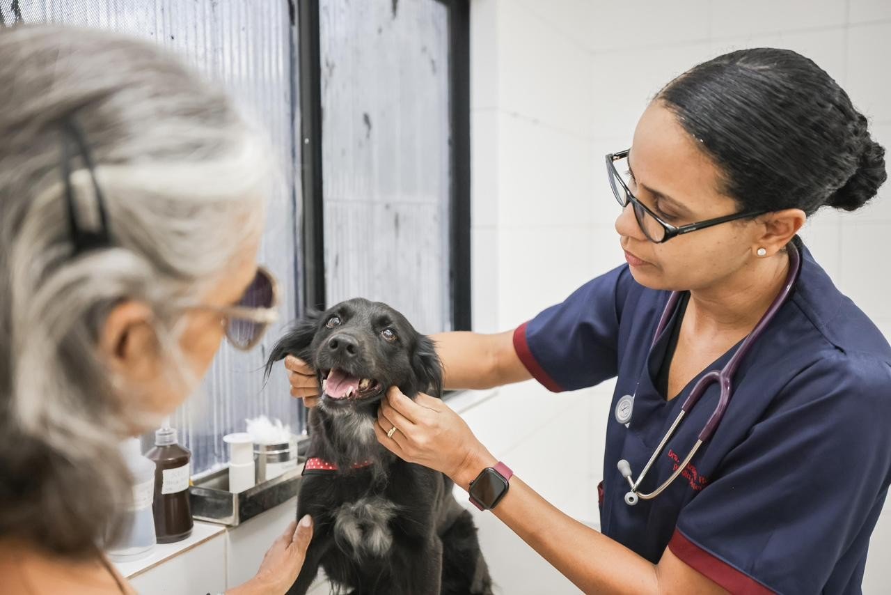 Ação oferece vacinação, castração e microchipagem gratuitas para pets no sábado (25) em Teresina