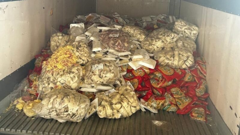 10 toneladas de queijos e carnes vencidos acendem alerta: veja como identificar produtos estragados