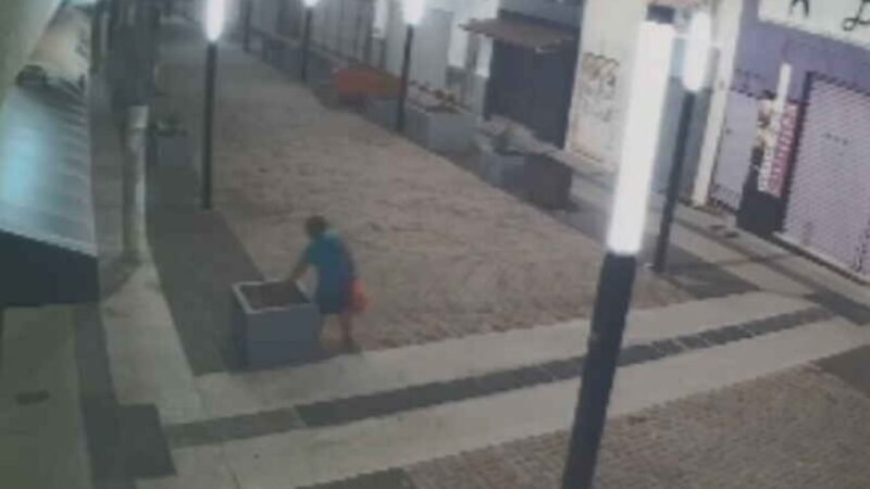 VÍDEO: mulher é flagrada vandalizando vasos de plantas no Calçadão da Batista em Bauru