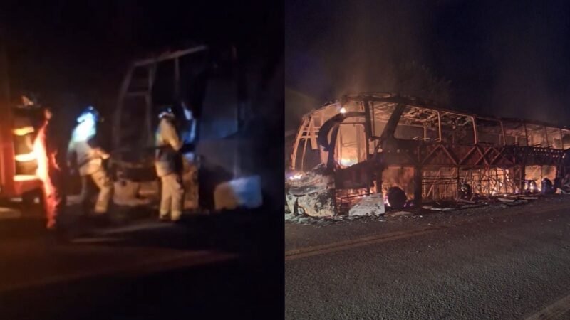 Ônibus de turismo fica destruído após pegar fogo na BR-407, no Piauí