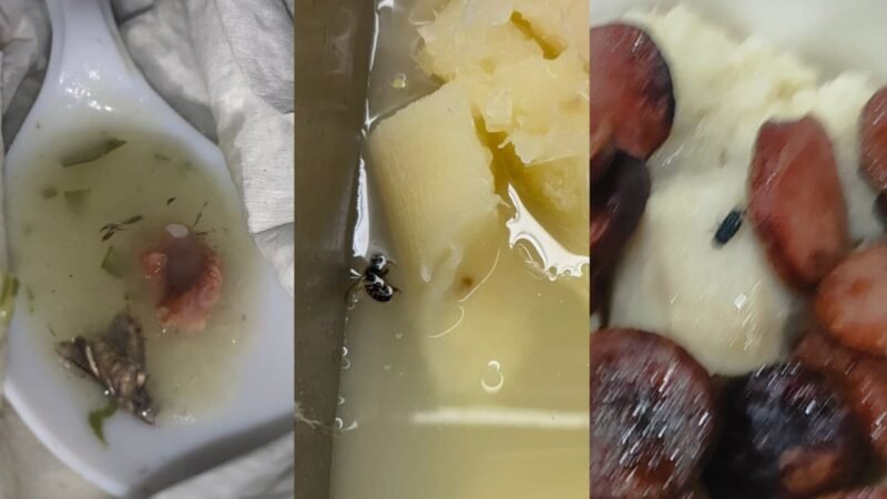 ‘Barata, moscas e vidro’: alunos denunciam comida do RU da Ufal