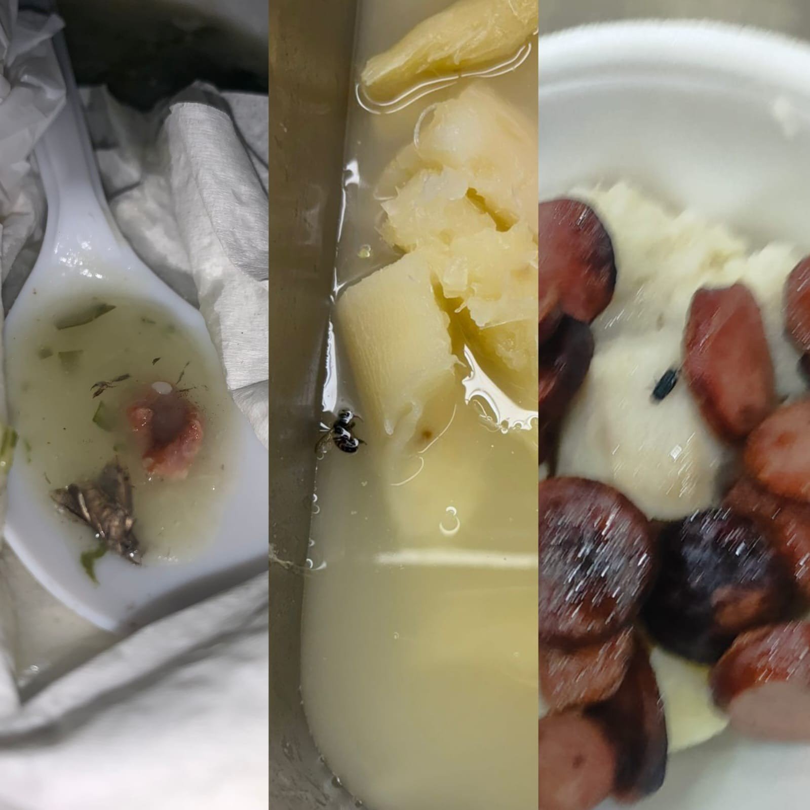 ‘Barata, moscas e vidro’: alunos denunciam comida do RU da Ufal