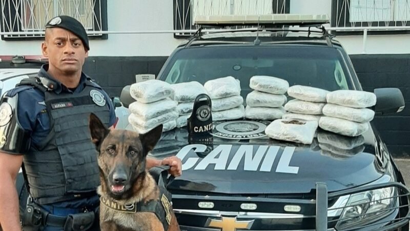 Guarda de Indaiatuba preso por sequestro do influencer Gabriel Spalone é ligado a facções e venda de armas, aponta investigação