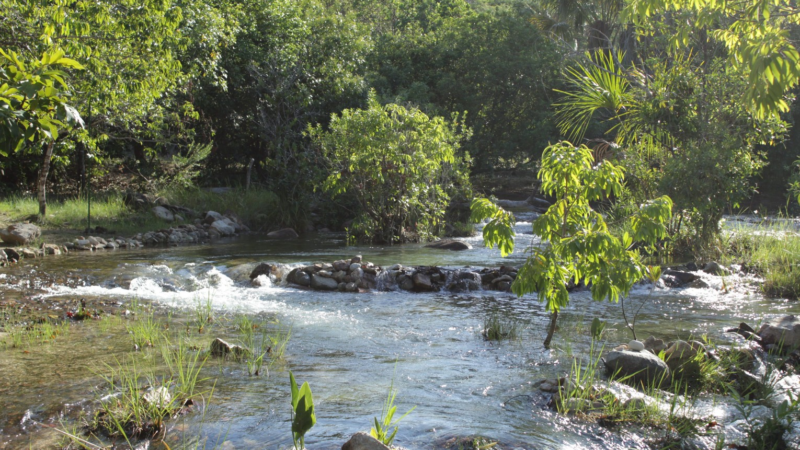 Águas cristalinas e tranquilidade: saiba como chegar ao ‘Caribe do Cerrado’ no TO