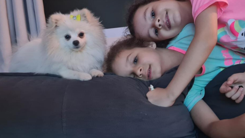 Meninas usam redes sociais para pedir ajuda e achar cachorrinha que fugiu de casa em Barretos, SP