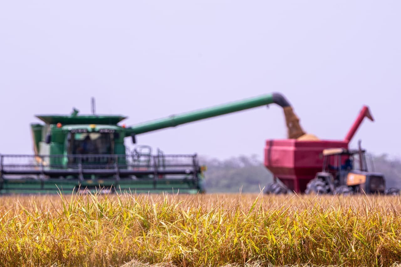 Plantio de soja deve crescer 9,4% em Roraima em 2026, estima Secretaria de Agricultura