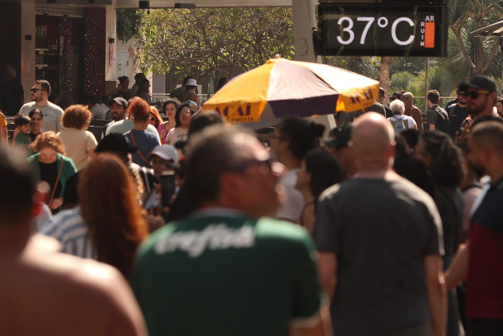 Temperatura na cidade de SP aumentou acima da média mundial no último século, aponta pesquisador da USP