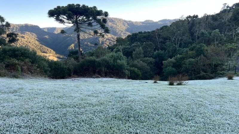 Capital nacional do frio abre inscrições para concurso com salários de até R$ 20 mil em SC; veja áreas